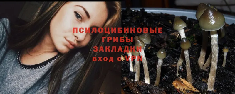 Галлюциногенные грибы MAGIC MUSHROOMS  Бутурлиновка 